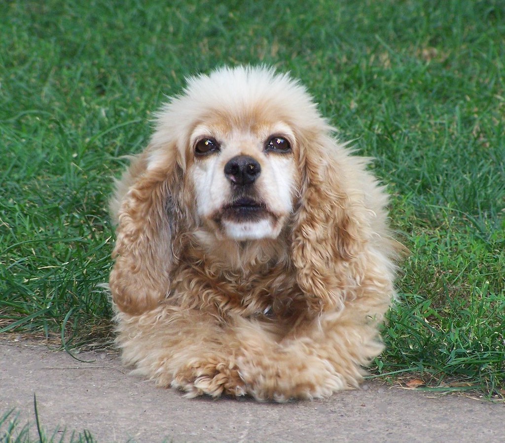 personal story scene